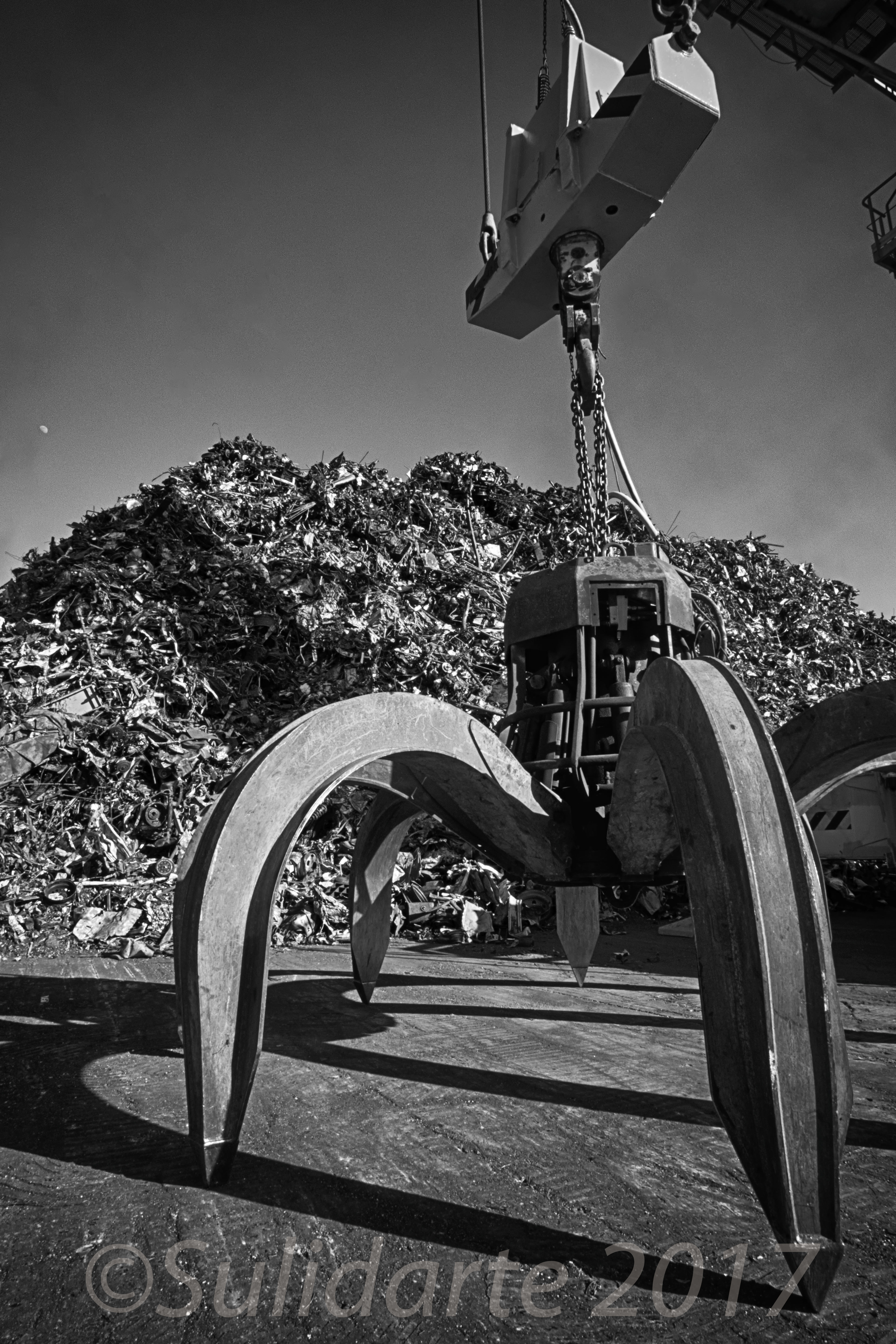 Commissione Consultiva